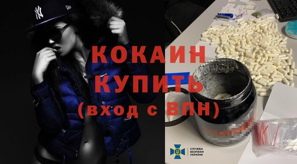 стафф Арсеньев