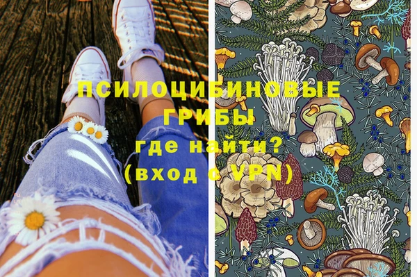 стафф Арсеньев