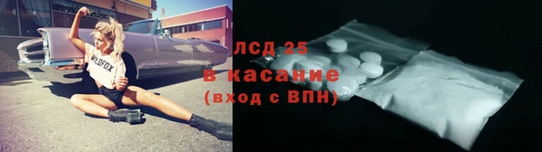 мяу мяу мука Аркадак